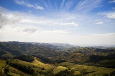 imagem 11