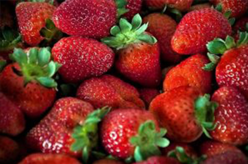 imagem 9